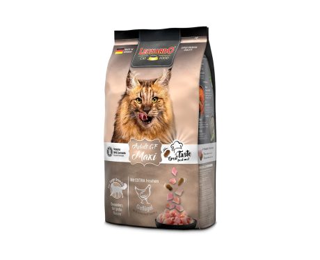 Leonardo Adulto Gf Maxi