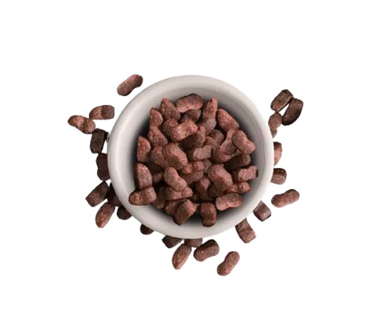 Leonardo-Adulto-Maxi-05