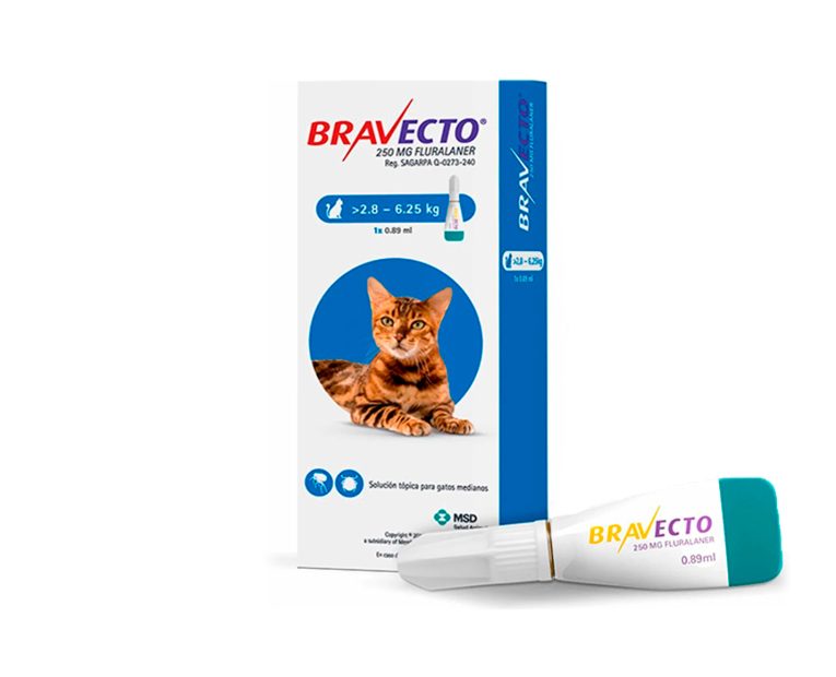 Bravecto-Gatos-2.8-a-6.25-Kg-01