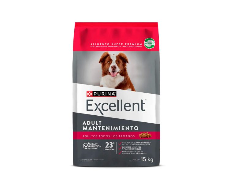 Excellent-Maintenance-03