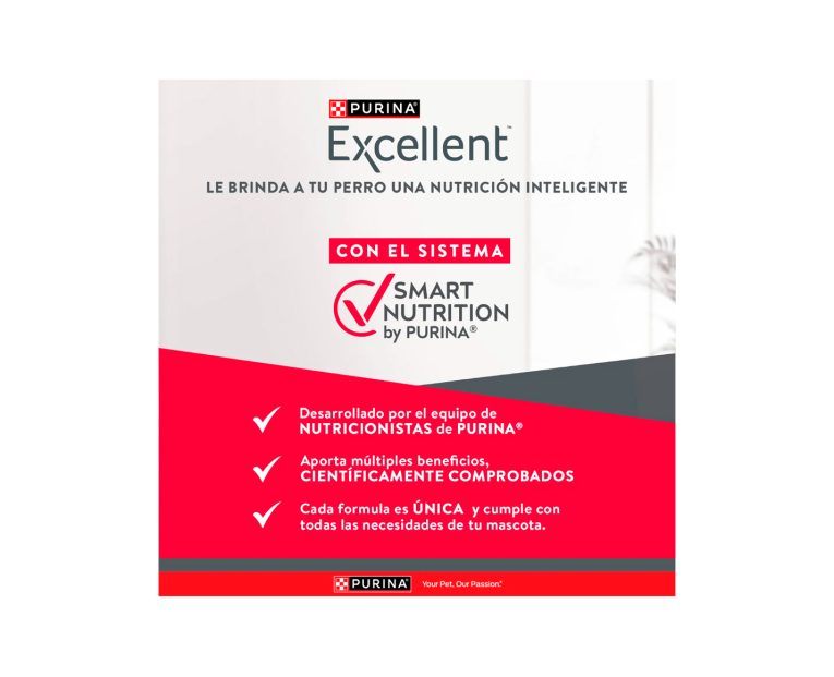 Excellent-Maintenance-04