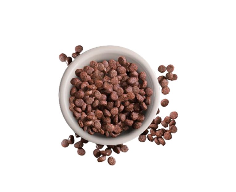 Leonardo-Adulto-Gf-Salmon-05