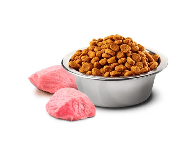 N&d-Kitten-Pollo-y-Granada-02