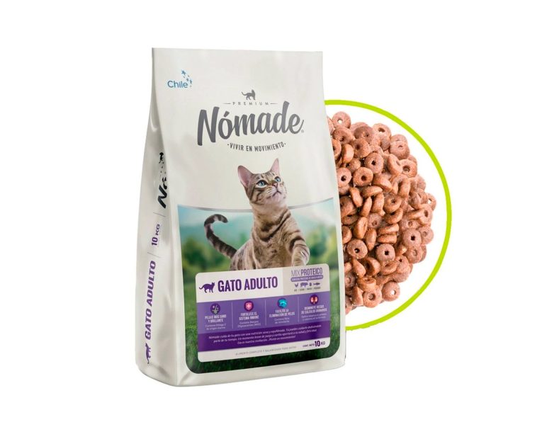 Nomade-Gato-Adulto-02