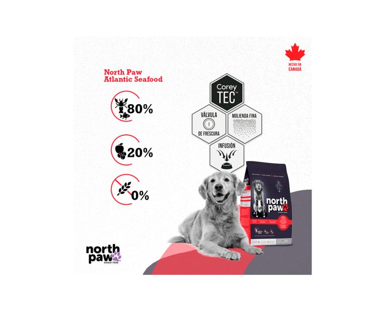 North-Paw-Adulto-Langosta-02