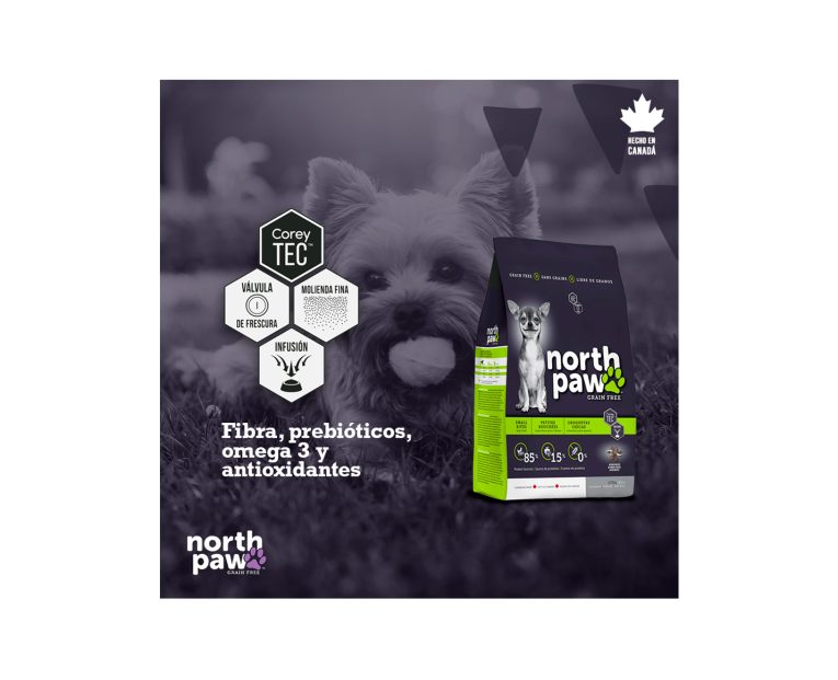 North-Paw-Adulto-Raza-Pequena-03