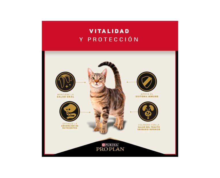 Pro-Plan-Cat-Adulto-02