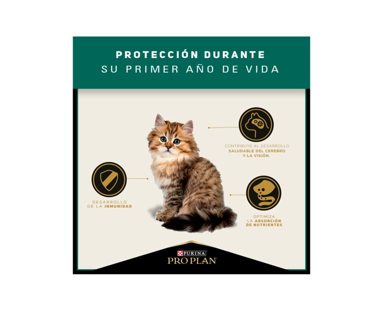 Pro-Plan-Kitten-02