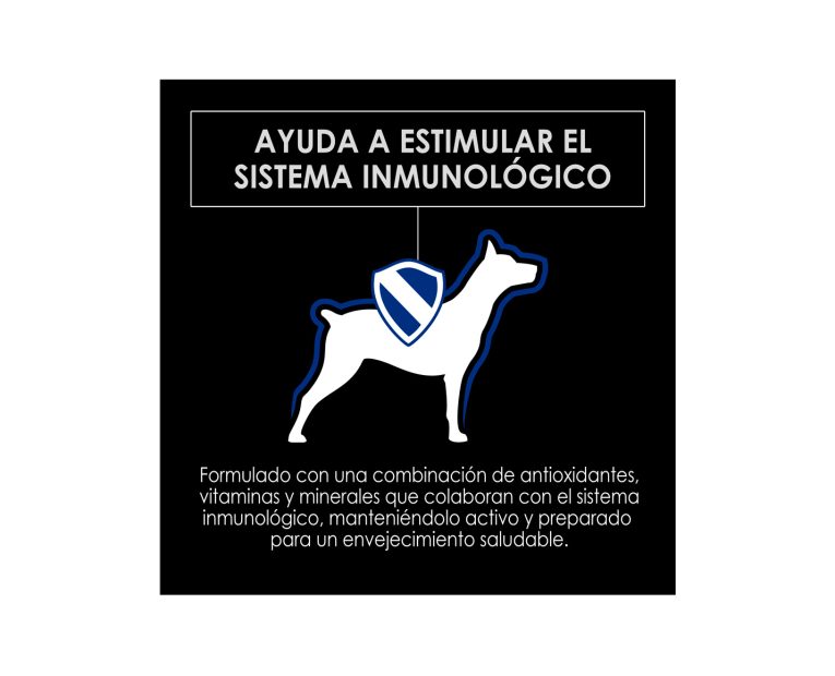 Proplan-Active-Mind-Senior-Razas-Pequenas-02