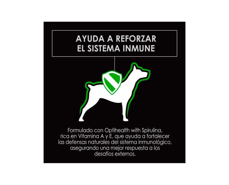 Proplan-Adulto-Complete-Raza-Grande-02