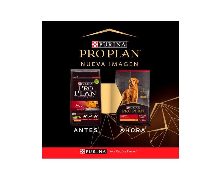 Proplan-Adulto-Complete-Raza-Mediana-02