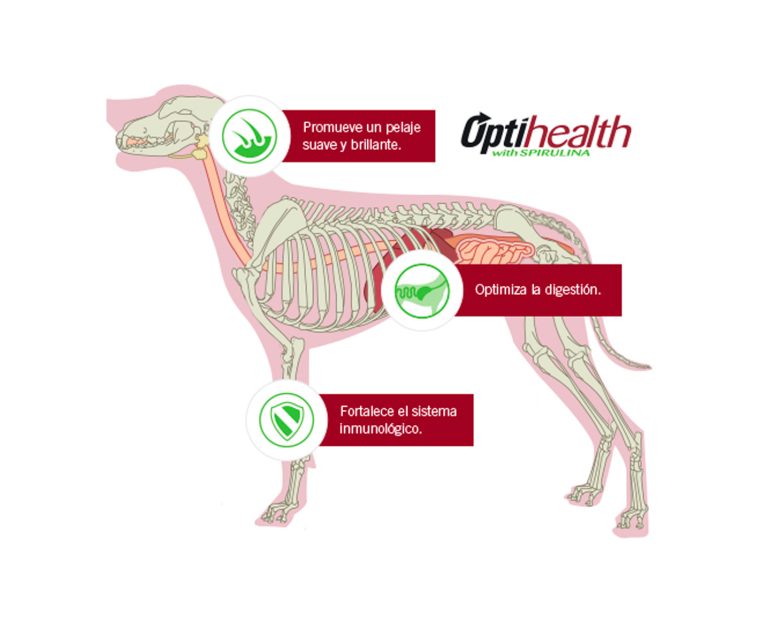 Proplan-Adulto-Complete-Raza-Mediana-03
