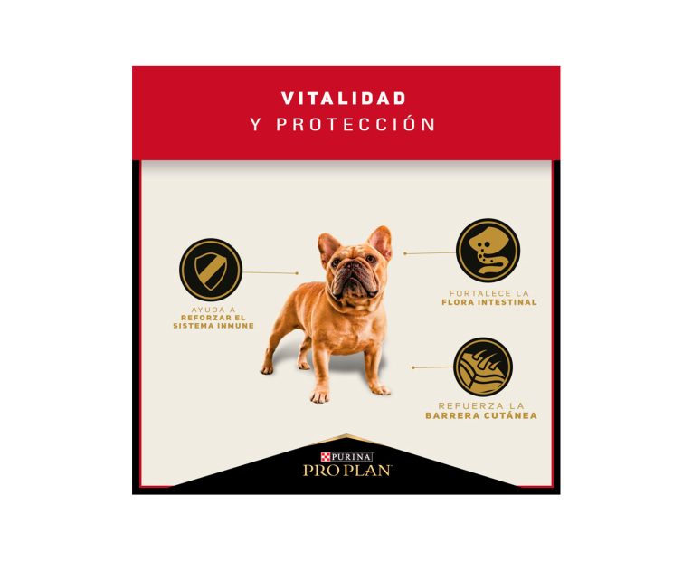 Proplan-Adulto-Complete-Raza-Pequena-02