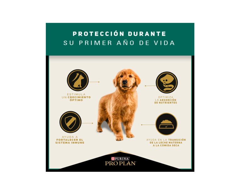 Proplan-Puppy-Complete-Raza-Mediana-02