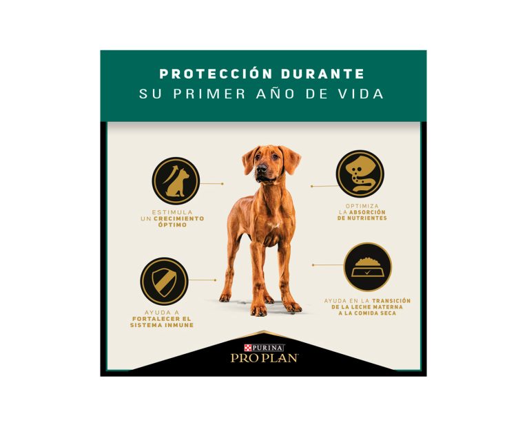 Proplan-Puppy-Raza-Grande-02