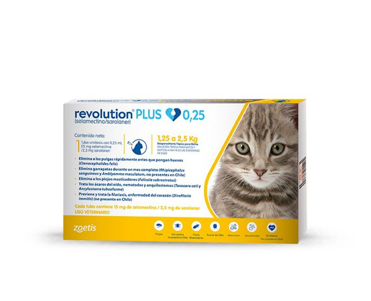 Revolution-Plus-Gatos-1.25-a-2.5-kg-02