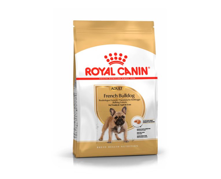 Royal-Canin-Bulldog-Frances-Adulto-01