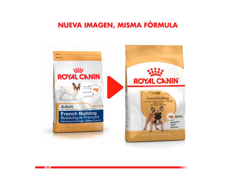Royal-Canin-Bulldog-Frances-Adulto-02