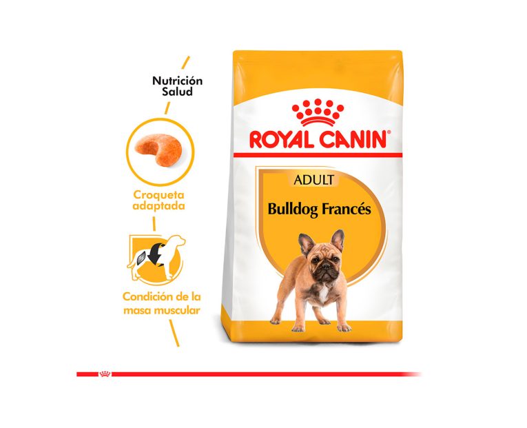 Royal-Canin-Bulldog-Frances-Adulto-03