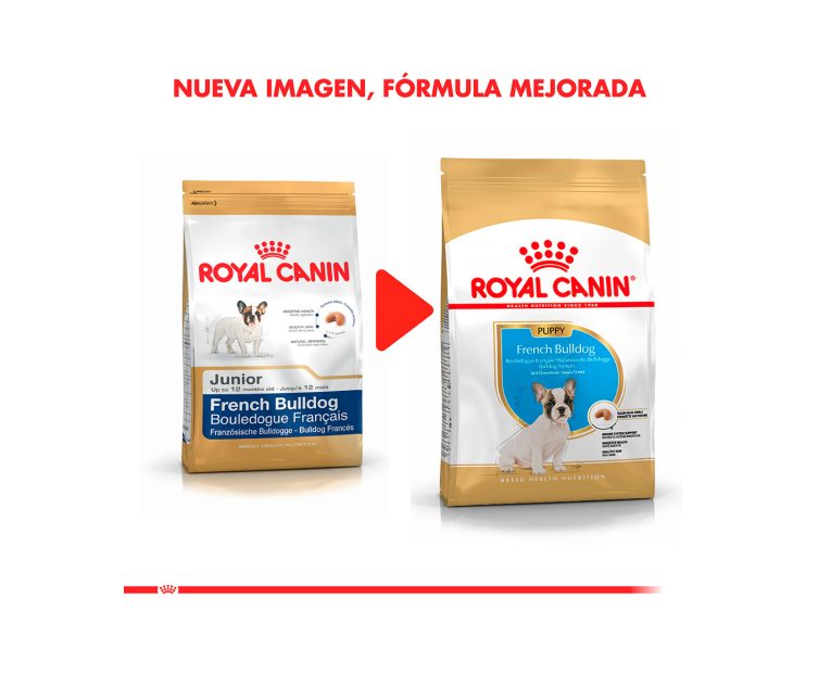 Royal-Canin-Bulldog-Frances-Puppy-02