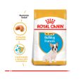Royal-Canin-Bulldog-Frances-Puppy-03