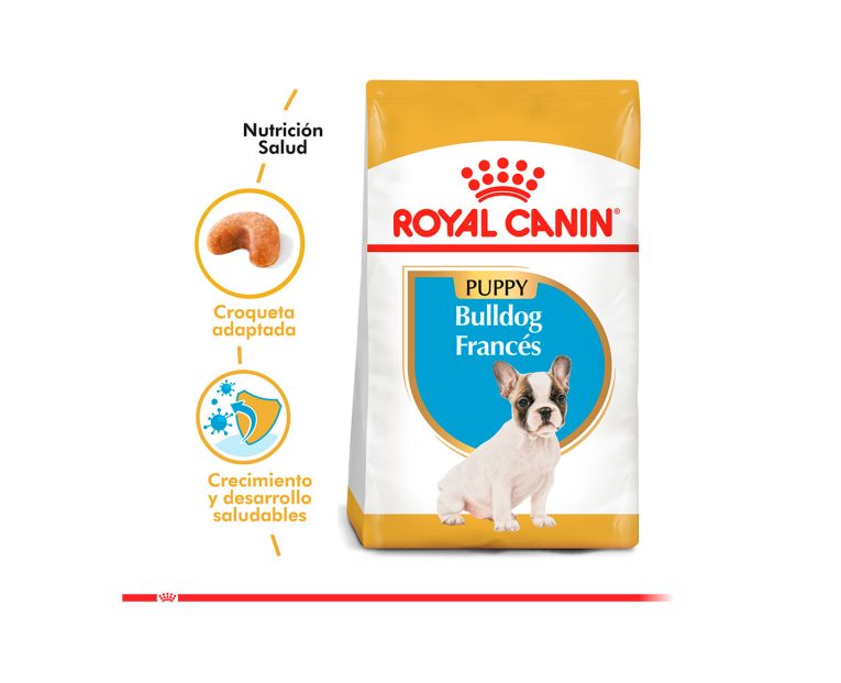 Royal-Canin-Bulldog-Frances-Puppy-03