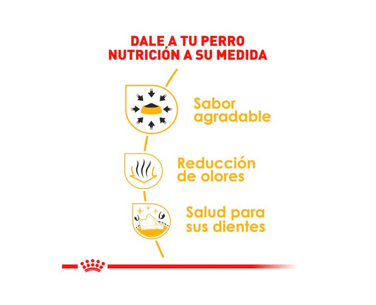 Royal-Canin-Chihuahua-Adulto-03