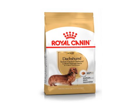 Royal Canin Dachshund Adulto