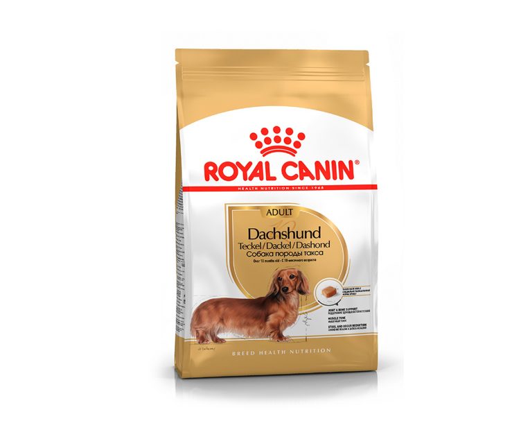 Royal-Canin-Dachshund-Adulto-01