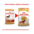 Royal-Canin-Dachshund-Adulto-02