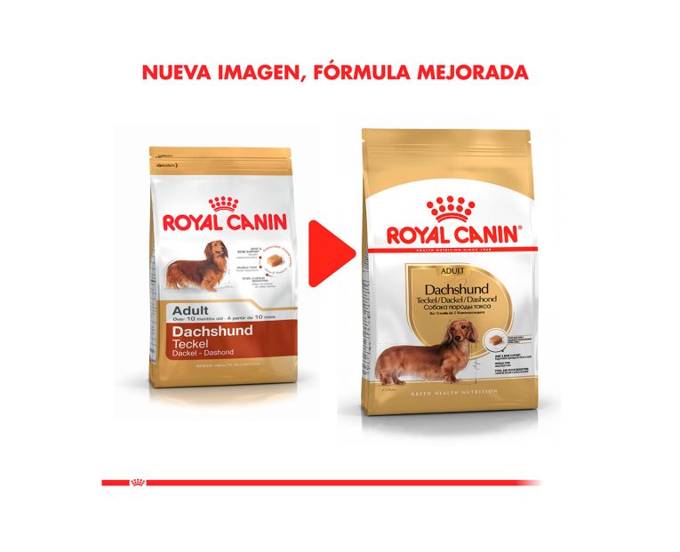 Royal-Canin-Dachshund-Adulto-02