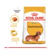 Royal-Canin-Dachshund-Adulto-03