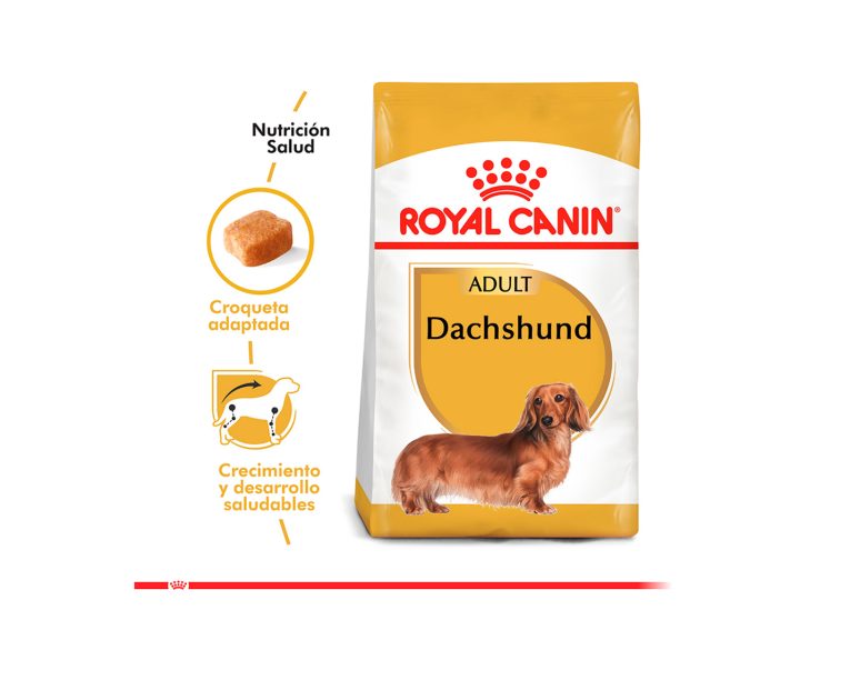 Royal-Canin-Dachshund-Adulto-03