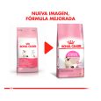 Royal-Canin-Kitten-02