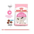 Royal-Canin-Mother-&-Babycat-03