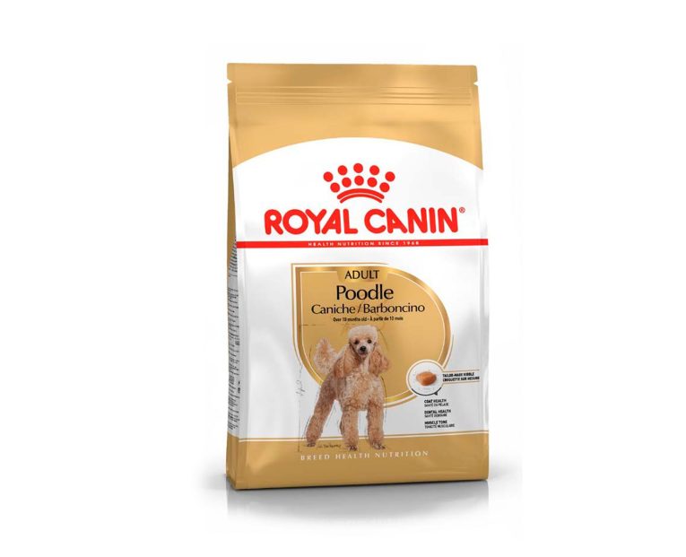 Royal-Canin-Poodle-Adulto-01