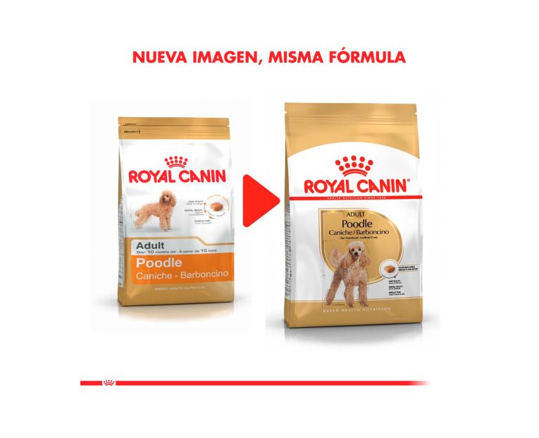 Royal-Canin-Poodle-Adulto-02