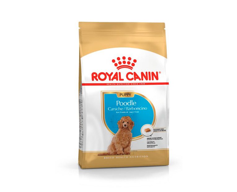 Royal-Canin-Poodle-Puppy-01