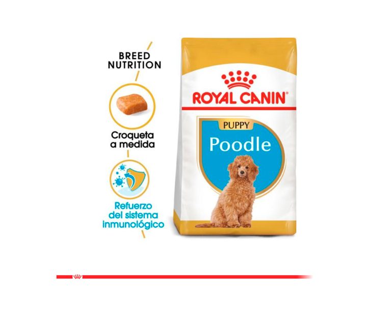 Royal-Canin-Poodle-Puppy-02