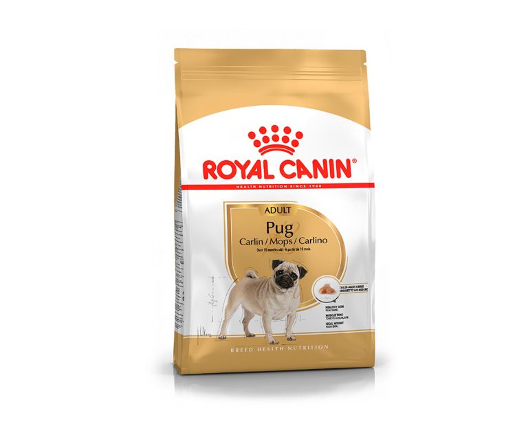 Royal-Canin-Pug-Adulto-01