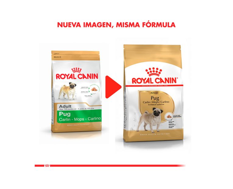 Royal-Canin-Pug-Adulto-02