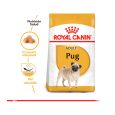 Royal-Canin-Pug-Adulto-03
