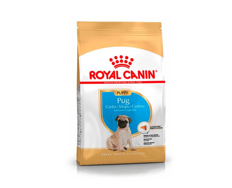 Royal-Canin-Pug-Puppy-01