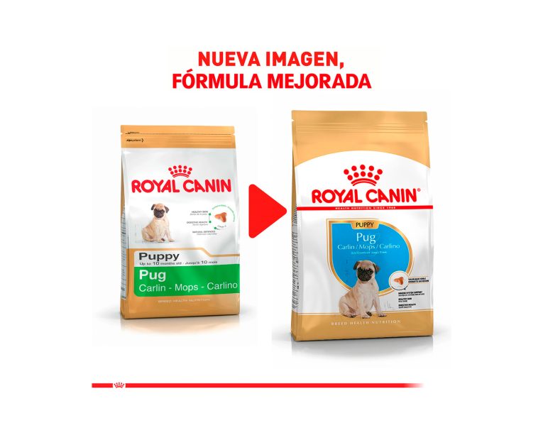 Royal-Canin-Pug-Puppy-02