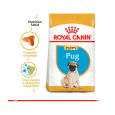 Royal-Canin-Pug-Puppy-03