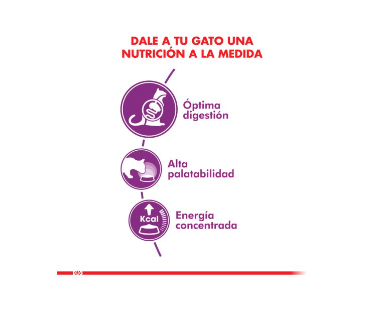 Royal-Canin-Sensible-03