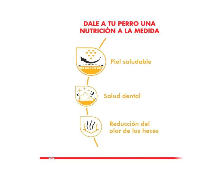 Royal-Canin-Shih-Tzu-Adulto-03