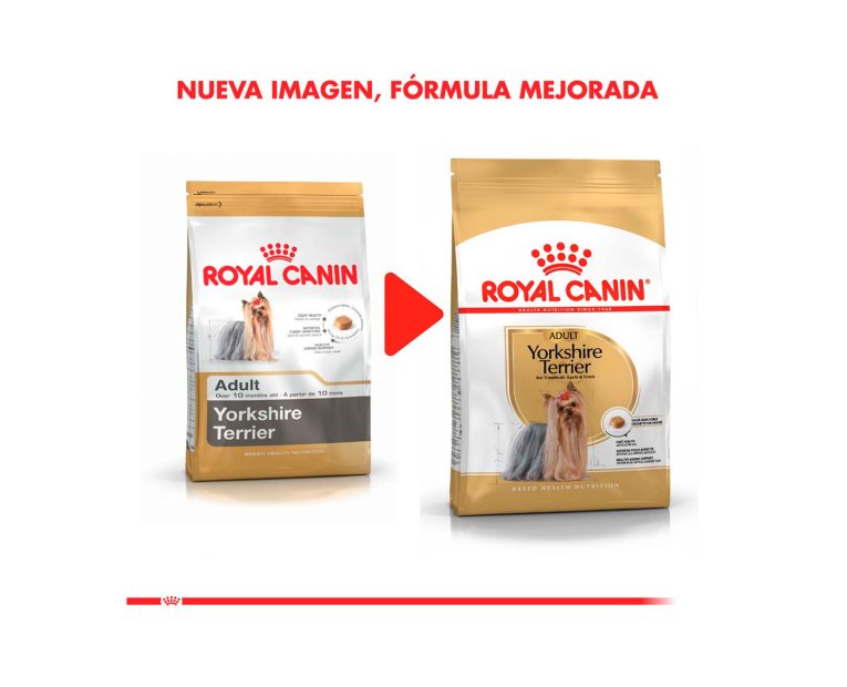 Royal-Canin-Yorkshire-Terrier-Adulto-02