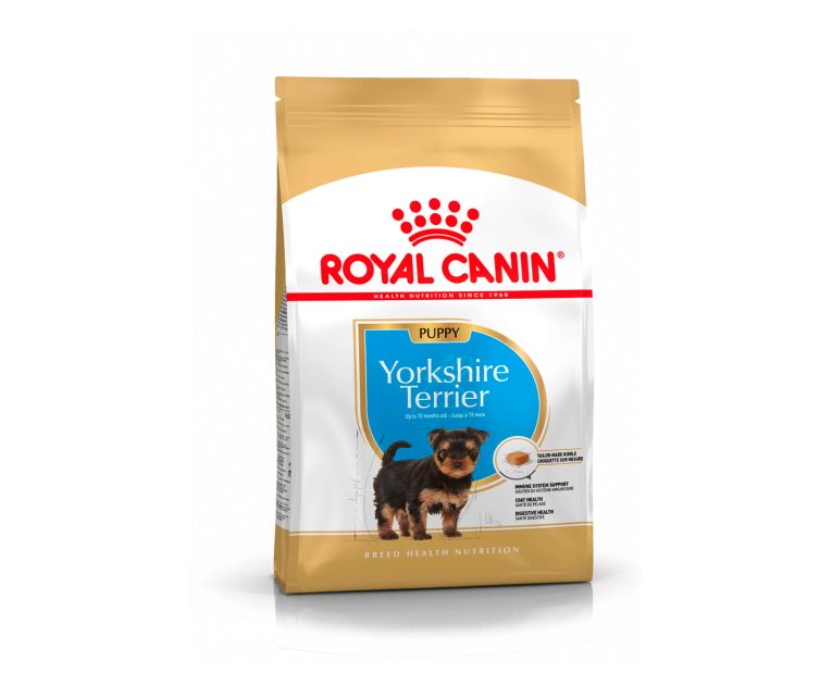 Royal-Canin-Yorkshire-Terrier-Puppy-01