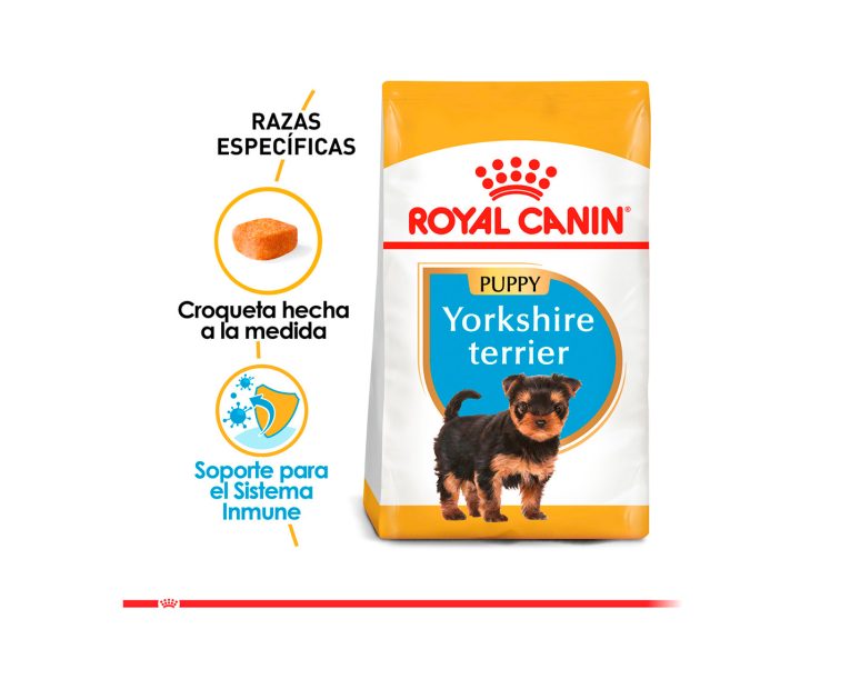 Royal-Canin-Yorkshire-Terrier-Puppy-02